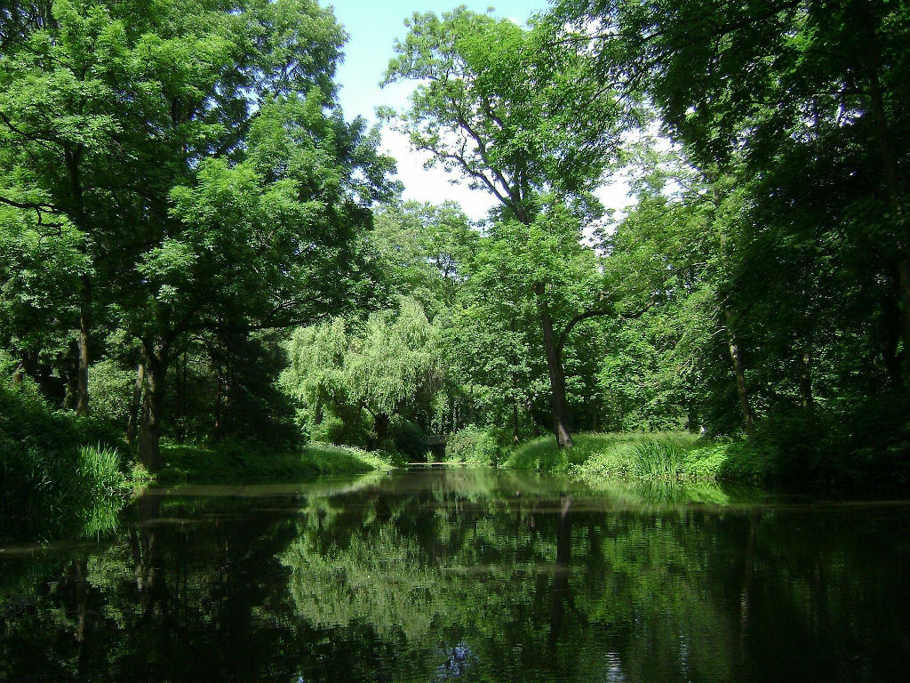 Camping Aux Cygnes d'Opale — photo 2